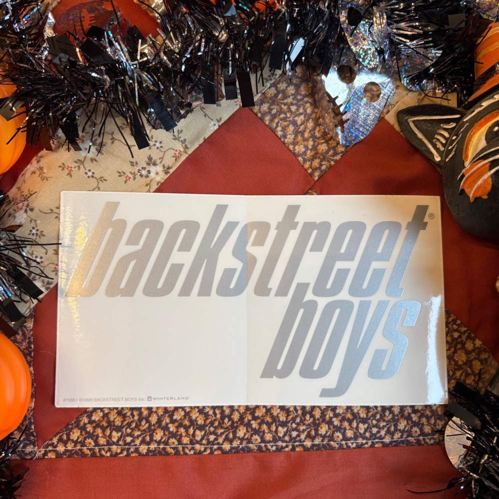 RARE Backstreet Boys Deadstock  Vinyl Decal Silver 1999 Winterland Logo Sticker